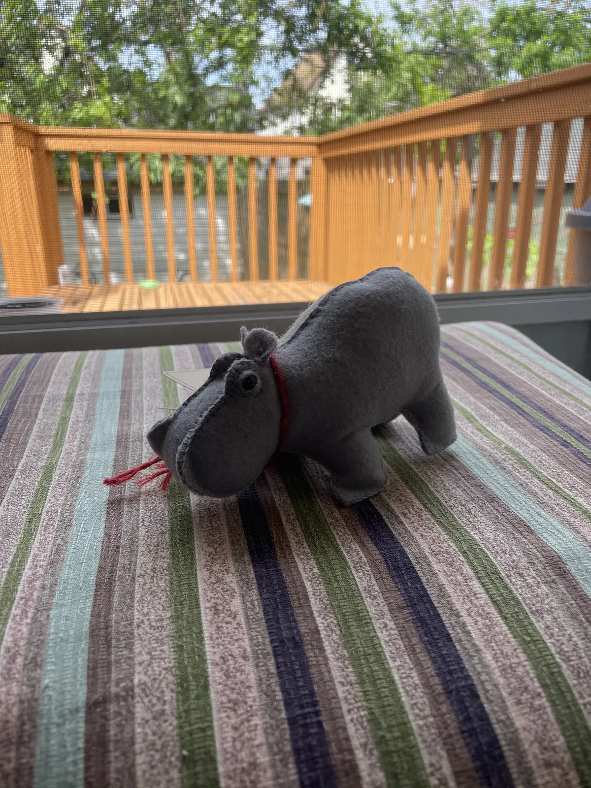 Hippo profile photo