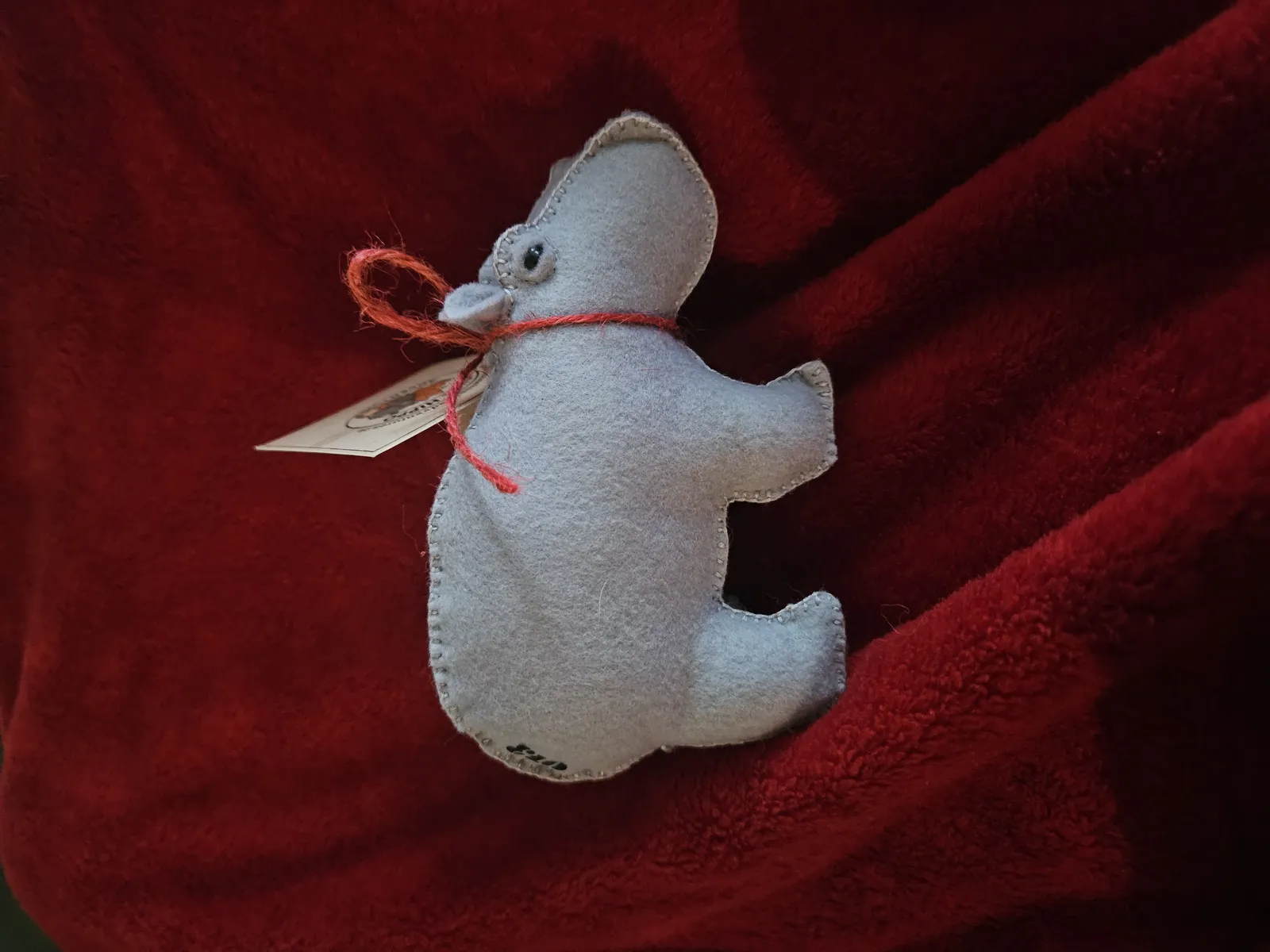Hippo profile photo